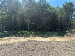 Lot 12 County Road 1110 - Photo 8