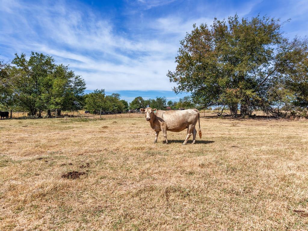 TBD CR 4758 - Photo 9