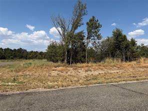 Lot 14 County Road 1110 - Photo 10