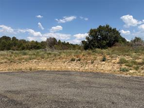 Lot 14 County Road 1110 - Photo 6