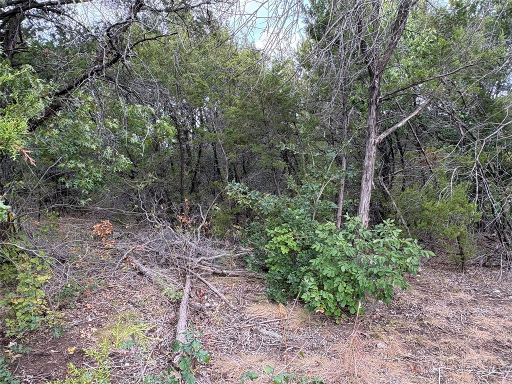 4426 W Oak Trail - Photo 1
