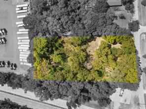 307 Arnold Street - Photo 4