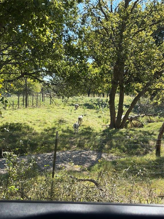 156 County Road 1020 - Photo 10