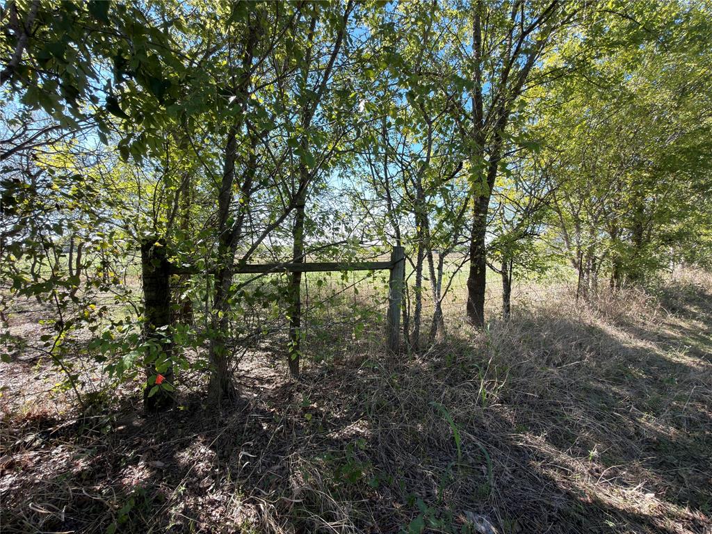 156 County Road 1020 - Photo 12