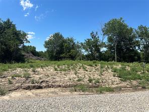 Lot 15 Co Rd 1110 - Photo 2