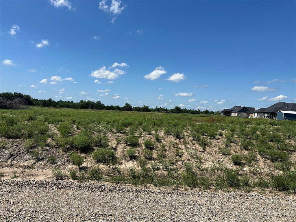 Lot 16 County Road 1110 - Photo 4