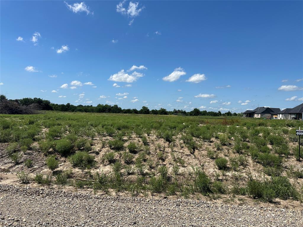 Lot 16 County Road 1110 - Photo 5