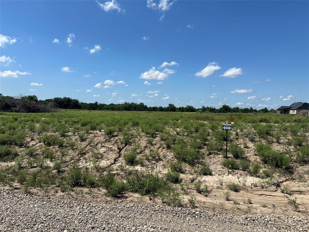 Lot 16 County Road 1110 - Photo 6