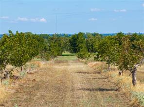 TBD Fm-2861 & CR 418 C - Photo 16