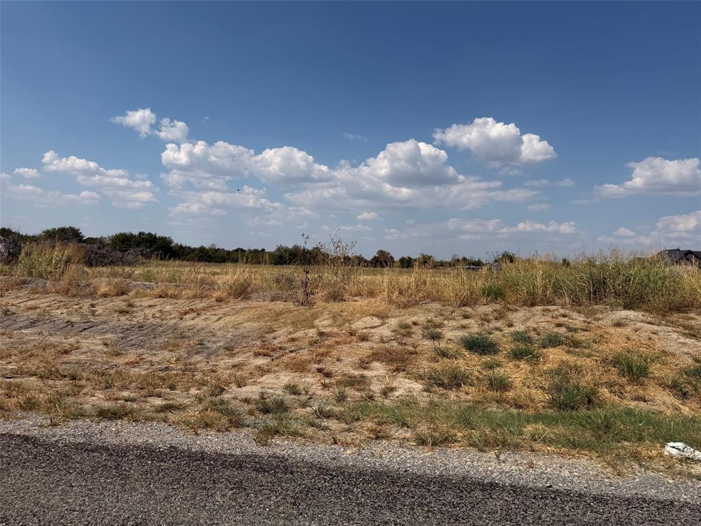 Lot 18 County Road 1110 - Photo 11