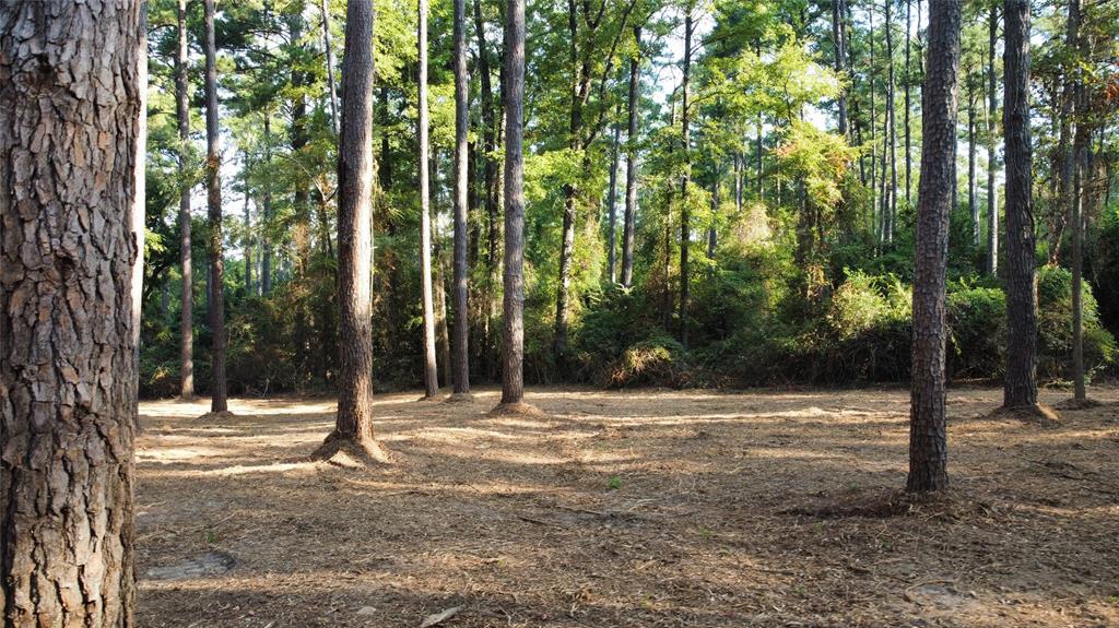 TBD County Road 192 - Photo 1