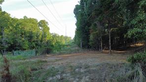 TBD County Road 192 - Photo 12
