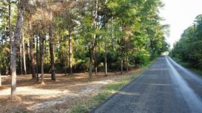 TBD County Road 192 - Photo 9
