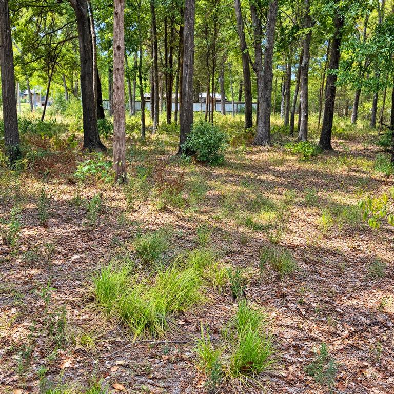 0000 TBD W. Moss Street - Photo 1
