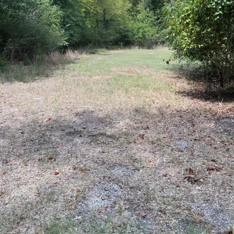 0000 TBD W. Moss Street - Photo 2