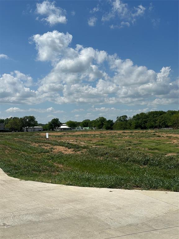 8015 Pilot Knoll Farms Road - Photo 3