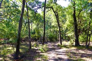 800 Trosper Trace - Photo 4