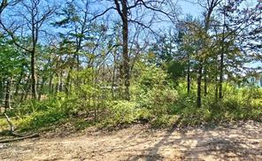 800 Trosper Trace - Photo 7
