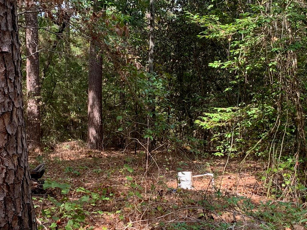 115 private road 7533 - Photo 10