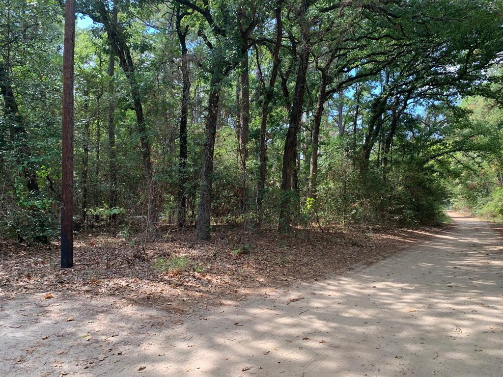 115 private road 7533 - Photo 11