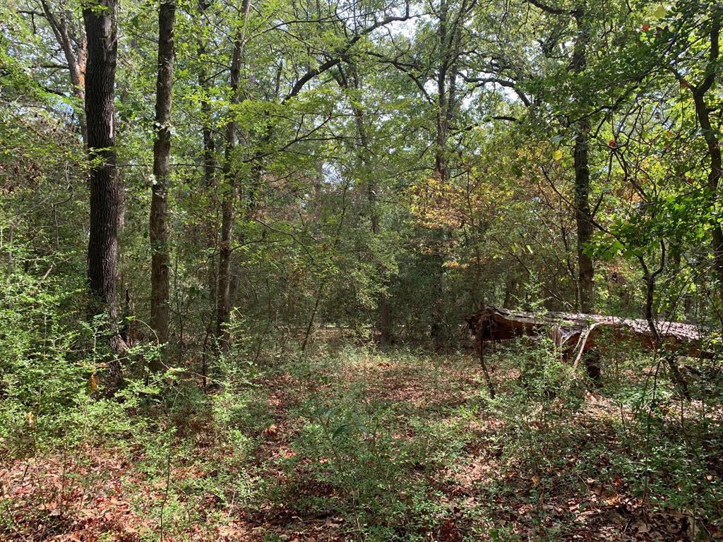 115 private road 7533 - Photo 12