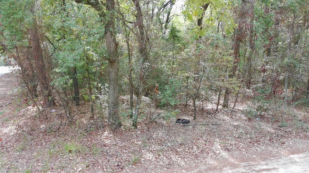 115 private road 7533 - Photo 2