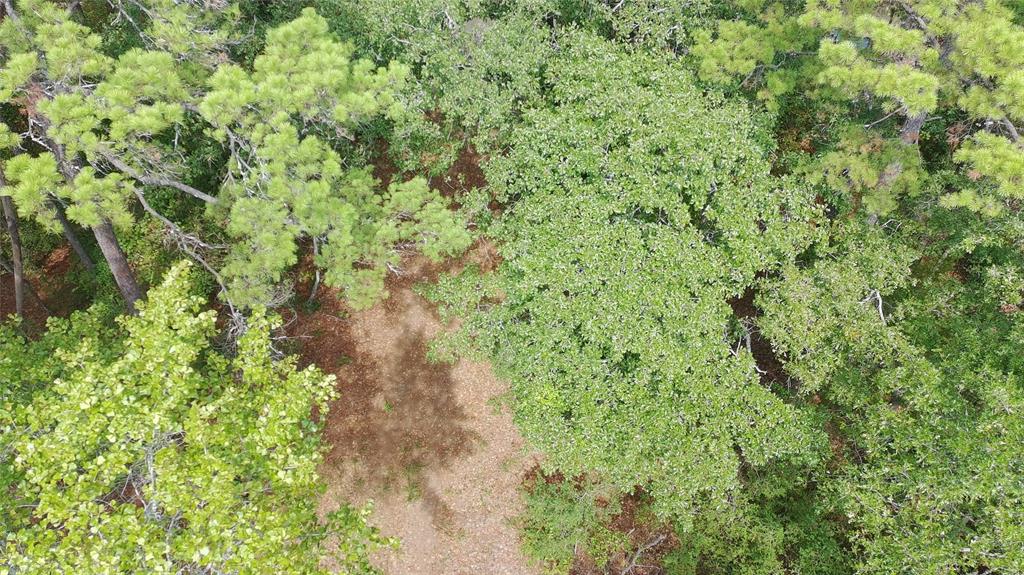 115 private road 7533 - Photo 3