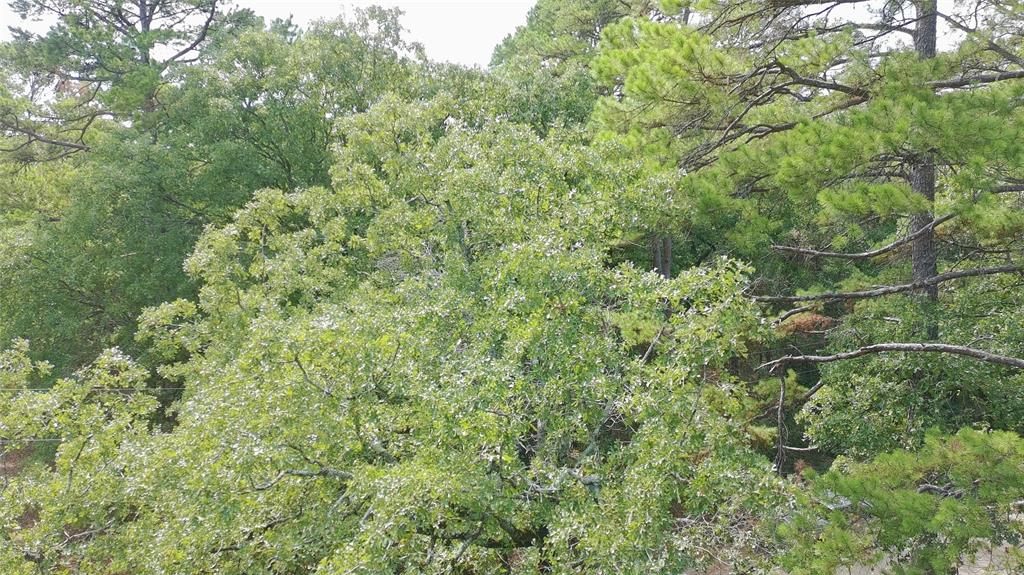 115 private road 7533 - Photo 5