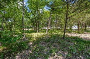 507 Charlie Joseph Drive - Photo 3