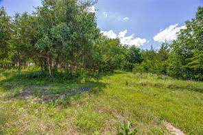 507 Charlie Joseph Drive - Photo 5