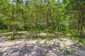 507 Charlie Joseph Drive - Photo 8