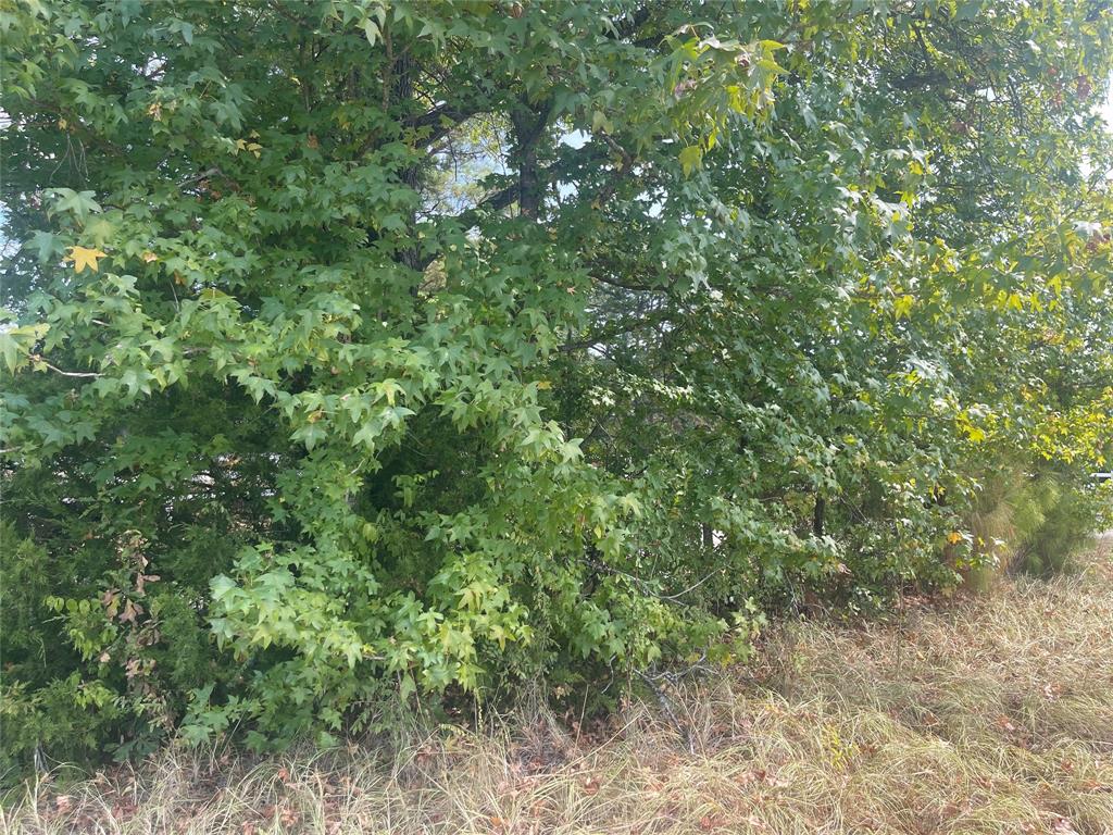 LOT 7 County Road 1560 - Photo 10