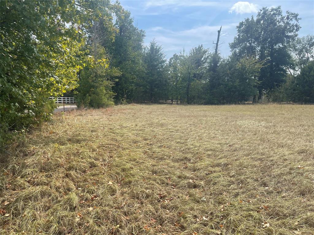 LOT 7 County Road 1560 - Photo 12