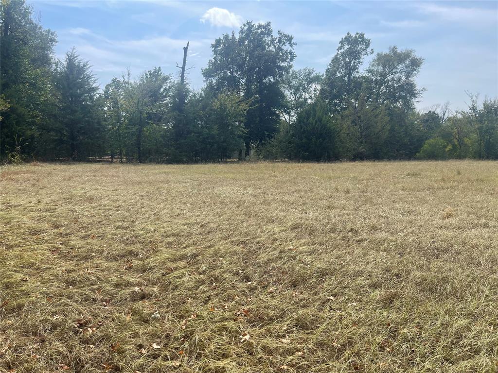 LOT 7 County Road 1560 - Photo 13