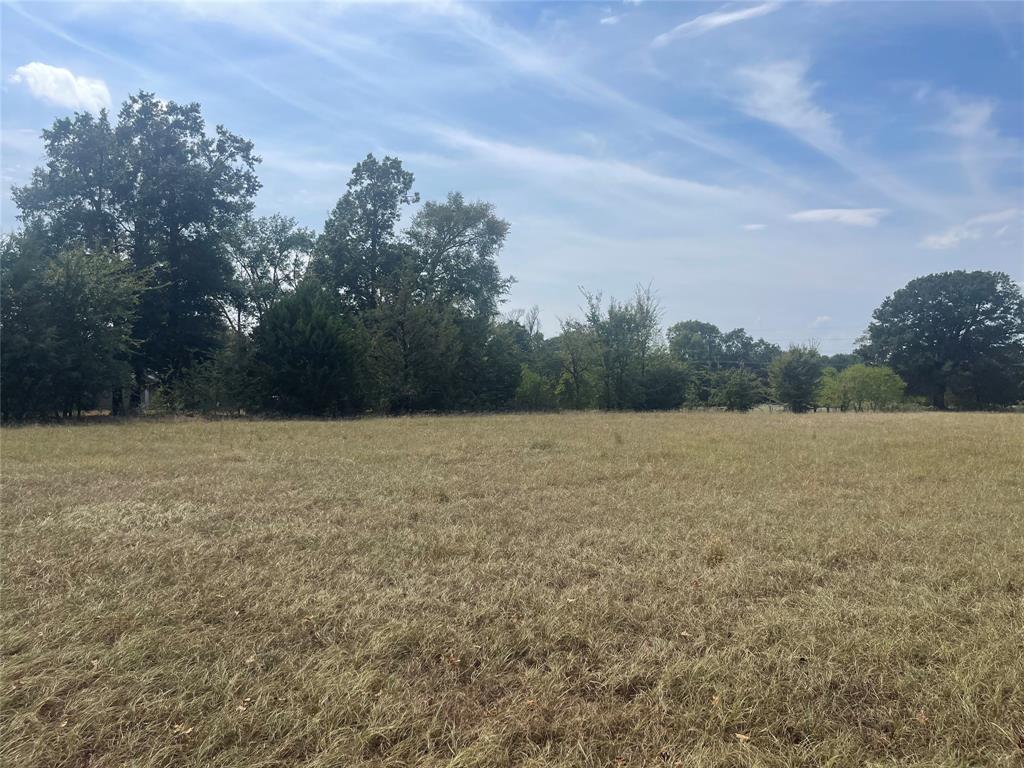 LOT 7 County Road 1560 - Photo 4