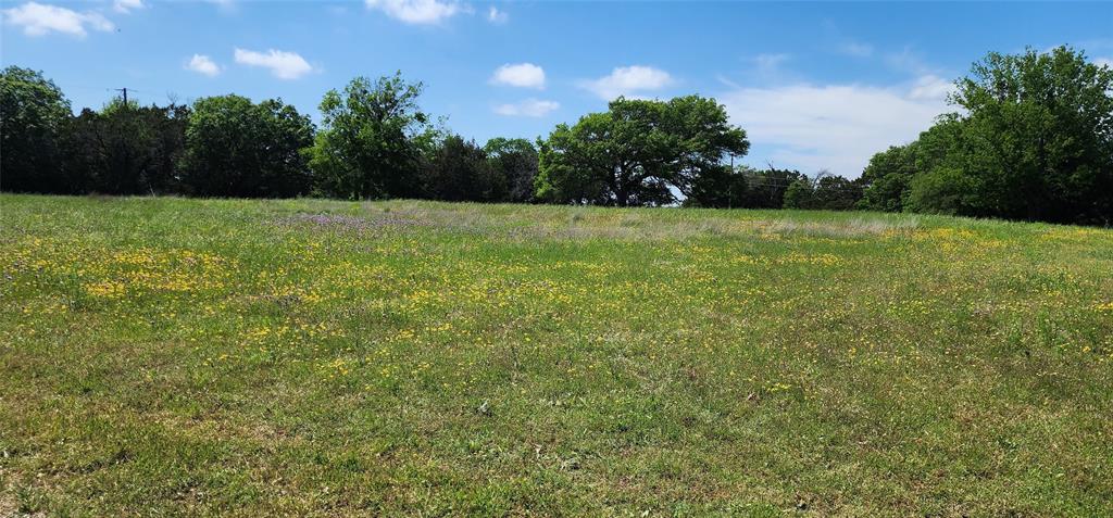 277 County Road 1526 - Photo 4