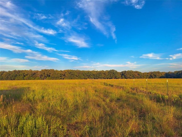 TBD County Road 2147