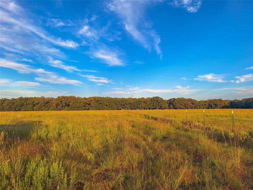 TBD County Road 2147 - Photo 13