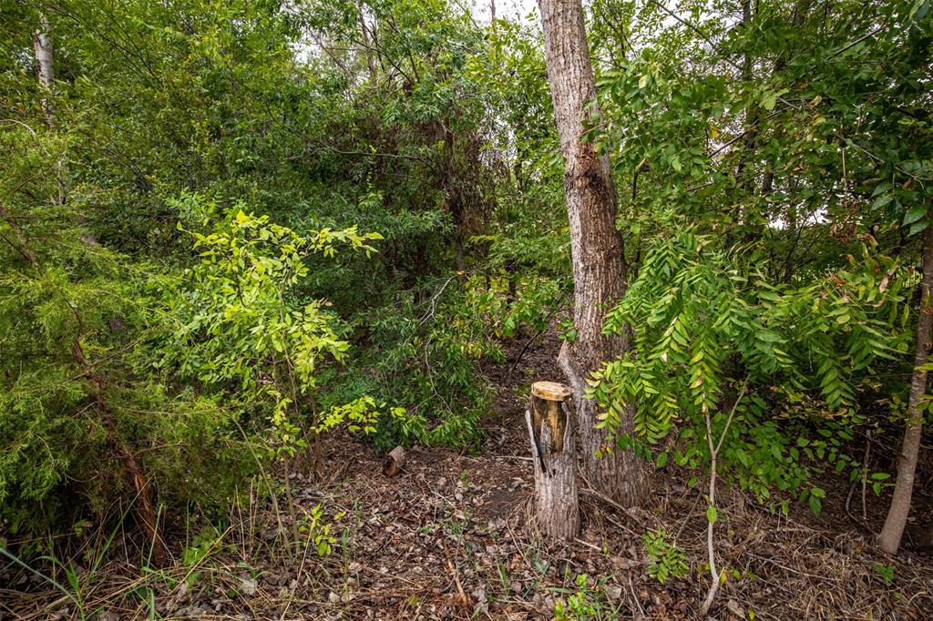 TBD Twilight Drive - Photo 19