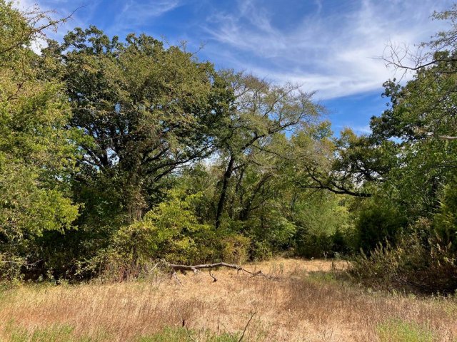 TBD County Road 4758