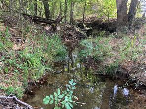 TBD County Road 4758 - Photo 5