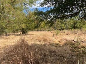 TBD County Road 4758 - Photo 6