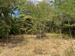 TBD County Road 4758 - Photo 7