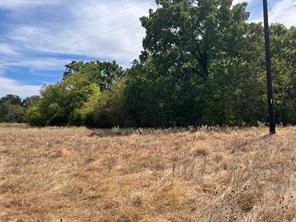 TBD County Road 4758 - Photo 8