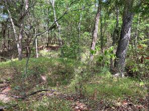 TBD County Road 4758 - Photo 9