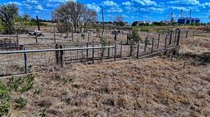 9765 Daniels Road - Photo 14