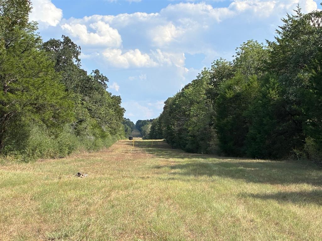 TBD FM 833 - Photo 20