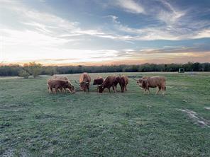 4081 FM 2736 - Photo 15