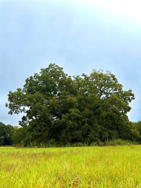 TBD Tract D FM 513  TX