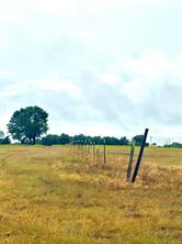 TBD Tract D FM 513  TX - Photo 3